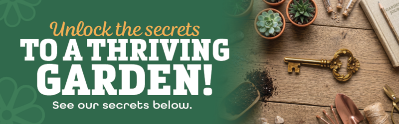 Unlock the secrets to gardening